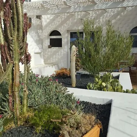 公寓 Lovely House Fuerteventura, Cactus Garden*sea View